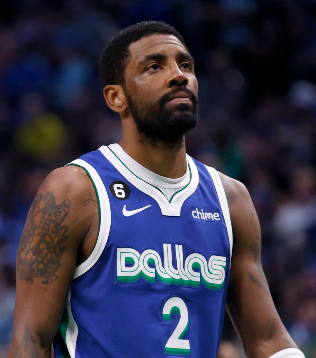 就地组织的 就地组织的